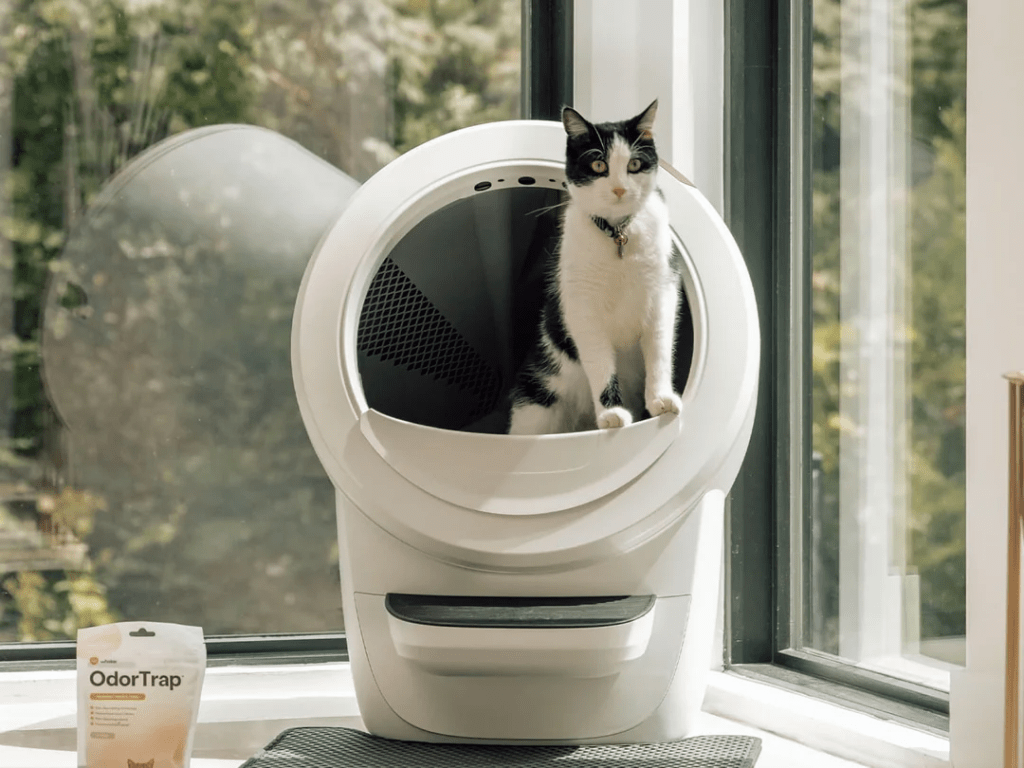 Is Litter Robot 4 Worth It? These Are the Reddit Community&nbsp;Reviews