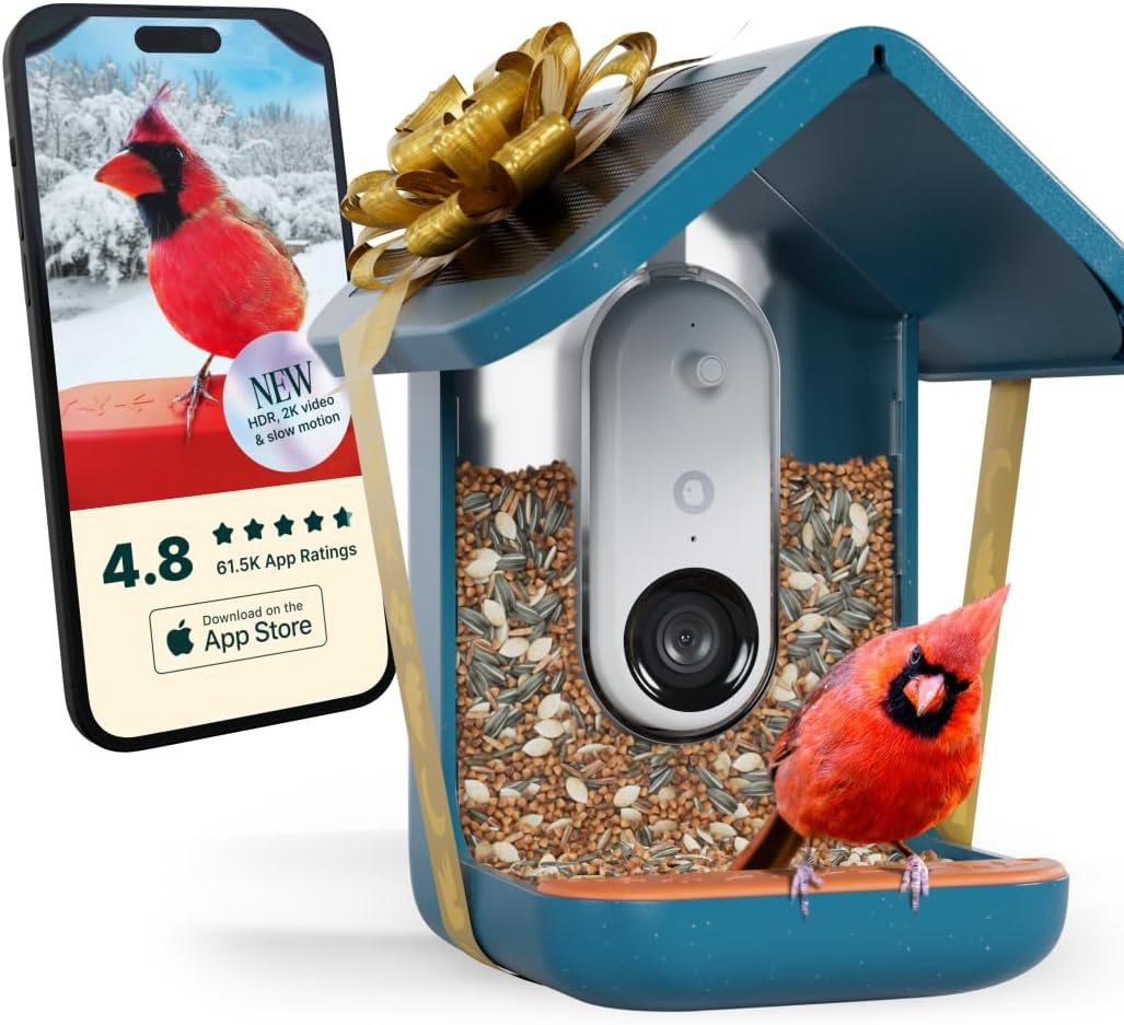 Is Bird Buddy Worth It? – Uninfluenced Review